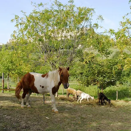 Agriturismo L'arca Di Anna Brambilla *