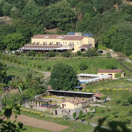 L'arca Di Anna Brambilla Belvedere Marittimo