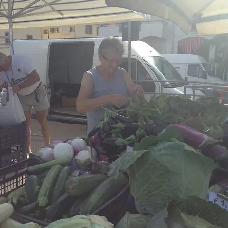 L'arca Di Anna Brambilla Belvedere Marittimo