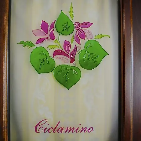 Alloggio per agriturismo L'arca Di Anna Brambilla Belvedere Marittimo