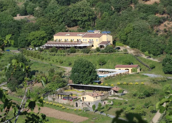 L'arca Di Anna Brambilla Belvedere Marittimo