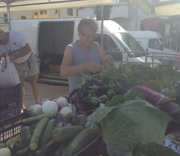 L'arca Di Anna Brambilla Belvedere Marittimo